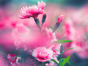 短信验证码轰炸卡盟免费