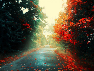 激活平台正规的接码短信平台